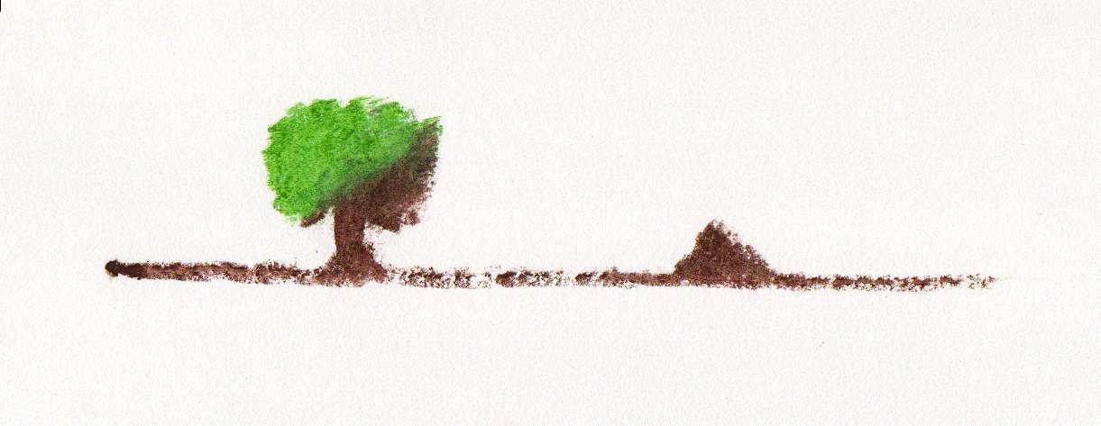 arbre